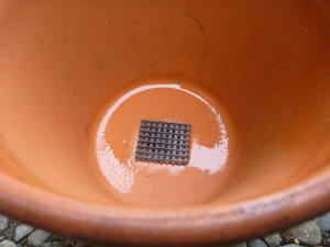 ����l�b�g