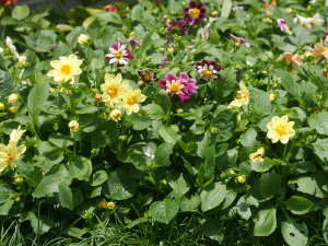 �␫�_���A