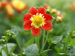 �␫�_���A