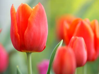 �`���[���b�v