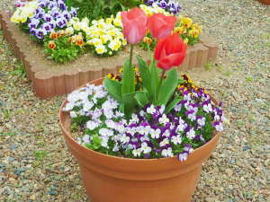 �`���[���b�v�̊J��