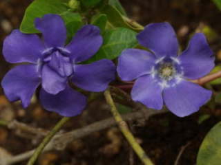 �q���c���j�`�\�E