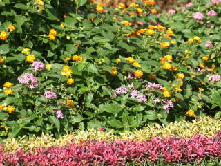 ��̃����^�i