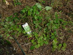 �~�̃������o�[��