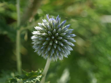 �����^�}�A�U�~