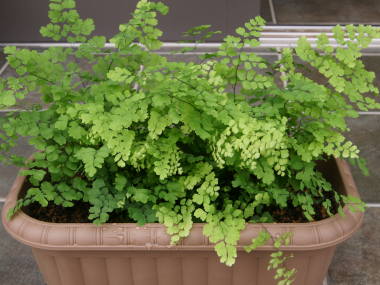 �A�W�A���^��