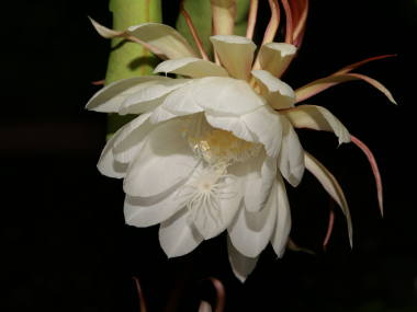 �������l