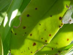 �������N�������������l