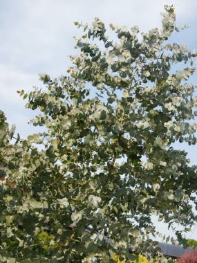 ���[�J��