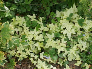 �w�f���E����P