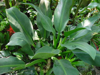 �z�e�C�J�Y��