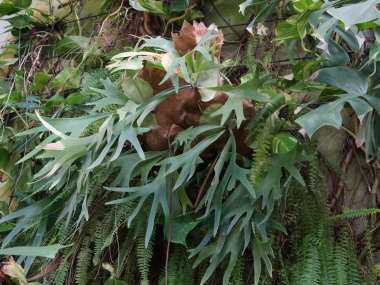 �R�E���������i�r�J�N�V�_�j