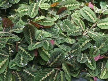 �}�����^