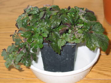 �~�J�j�A�E�e���i�^