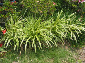 ���u����