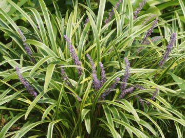 ���u����