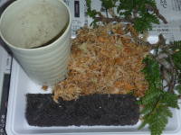 �w�S�d���Ă̍ޗ��i�g�L���V�m�u�j