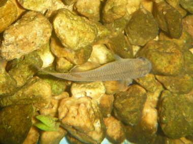 �~�����郁�_�J