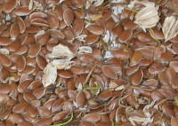 �A�}�i�����j