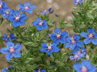 �A�i�K���X