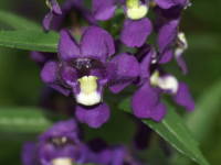 �A���Q���j�A