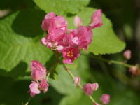 �A�T�q�J�Y��