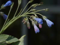 �G�]�����\�E