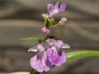 �E�`���E����