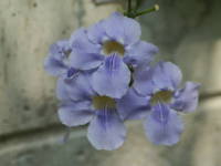 �x���K�����n�Y�J�Y��