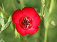 �x�j�o�i�A�}