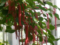 �x�j�q���m�L