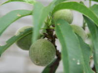 �n�i����