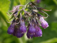 �q���n���\�E