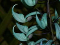 �q�X�C�J�Y��