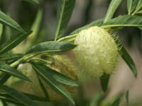 �t�E�Z���g�E���^