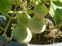 �q���E�^��