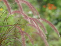 �y�j�Z�^��