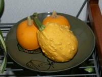 �I���`���J�{�`��