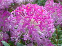 �s�����A