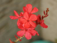 �A�J�}�c��