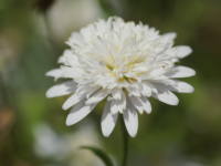 �J�������X