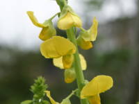 �N���^�����A