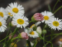 �Q���y�C�R�M�N