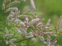 �M�������E