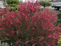 �M�������E�o�C