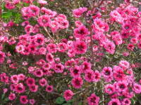 �M�������E�o�C