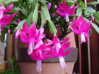 �J�j�o�T�{�e��