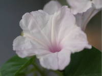 �L�_�`�A�T�K�I