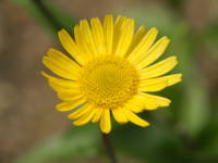 �L�n�}�M�N