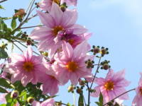 �R�_�`�_���A